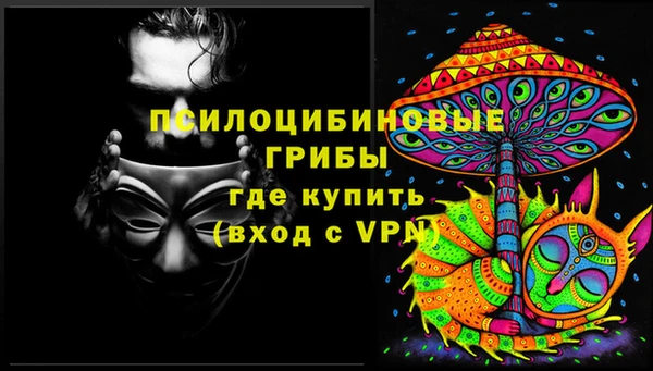 ALPHA PVP Переславль-Залесский