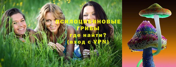 ALPHA PVP Переславль-Залесский